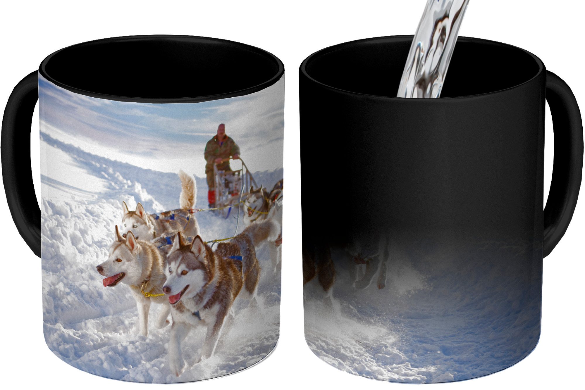 Tasse Huskys für Hundeschlitten