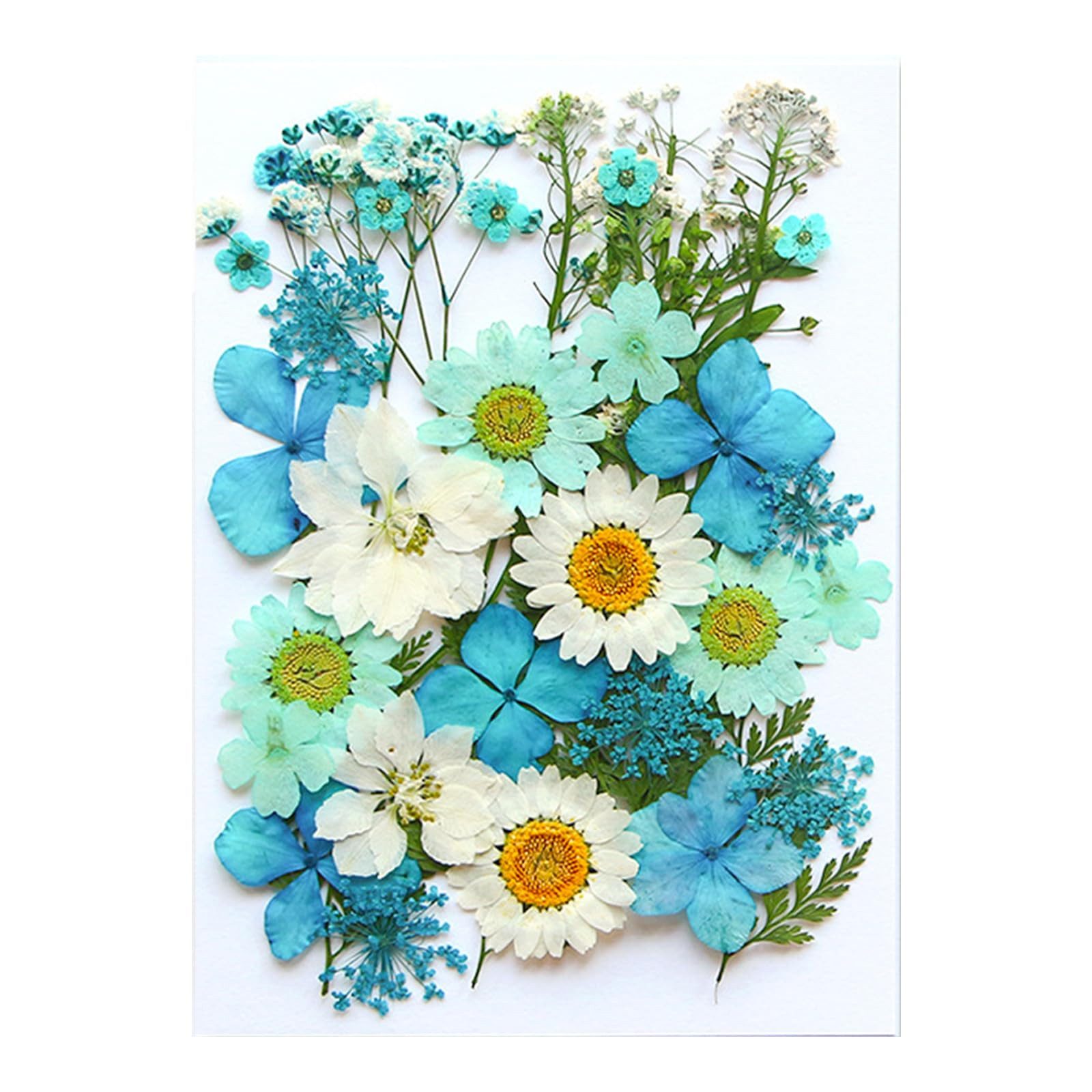 Trockenblume Getrocknete Blumen, Trockenblumen Zum Basteln, Klein Trockenblumen Set, Kaket, ​für Kunst DIY Harz Scrapbooking Handwerk Karten Machen