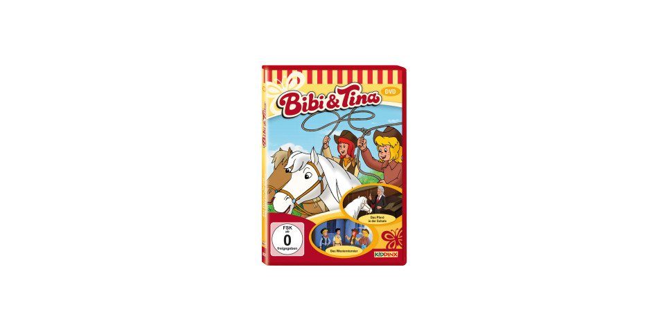 DVD Bibi und Tina DVD 11