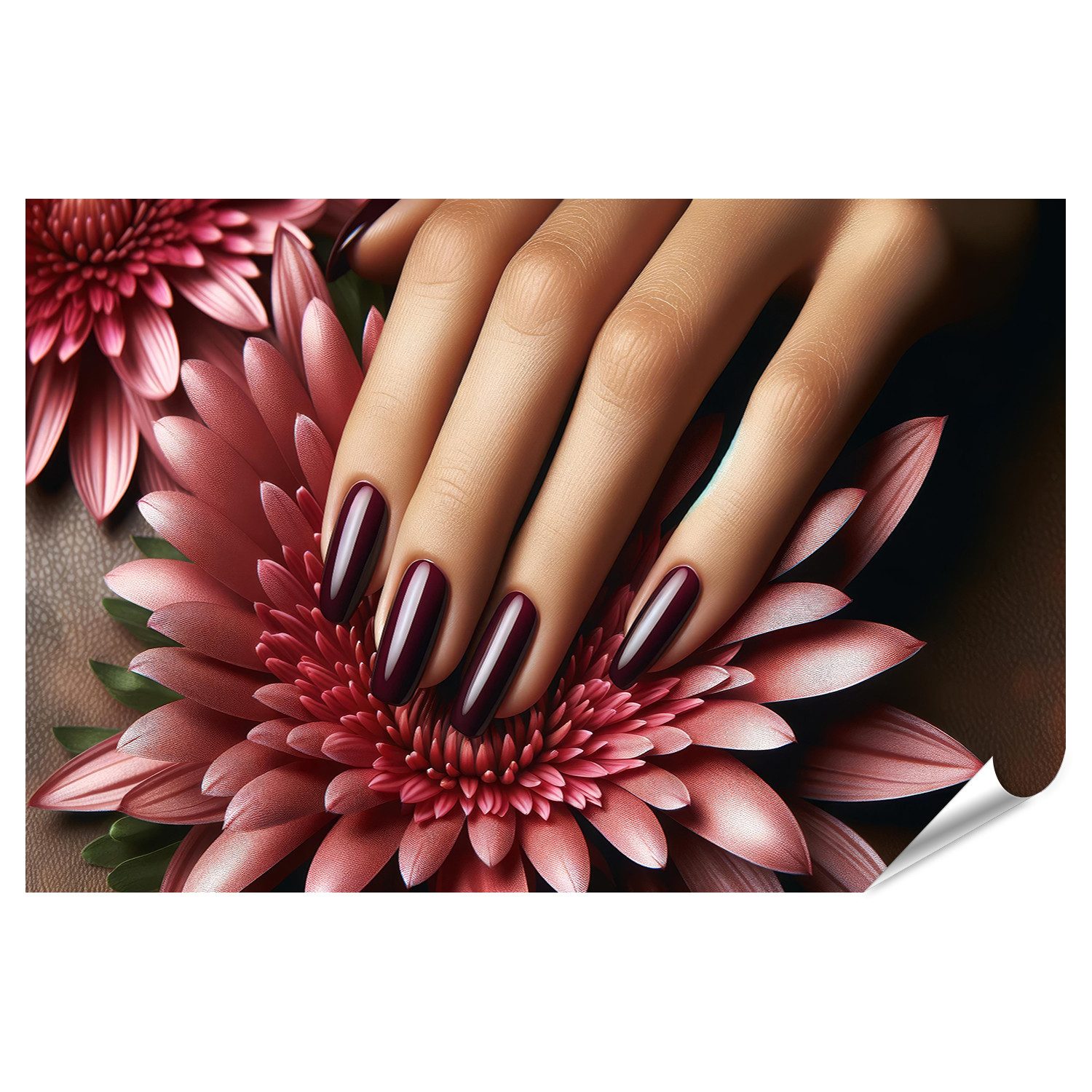 Poster Elegante Maniküre mit Tiefmaroon Lack auf Zarten Blütenblättern Nagels