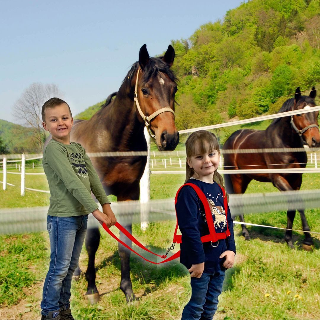 Jamso Design Spielzeug-Gartenset Pferdespielleine günstig online kaufen