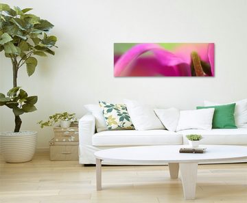 Sinus Art Leinwandbild Naturfotografie  Helle pinke Blütenblätter auf Leinwand exklusives Wandbild moderne Fotografie für