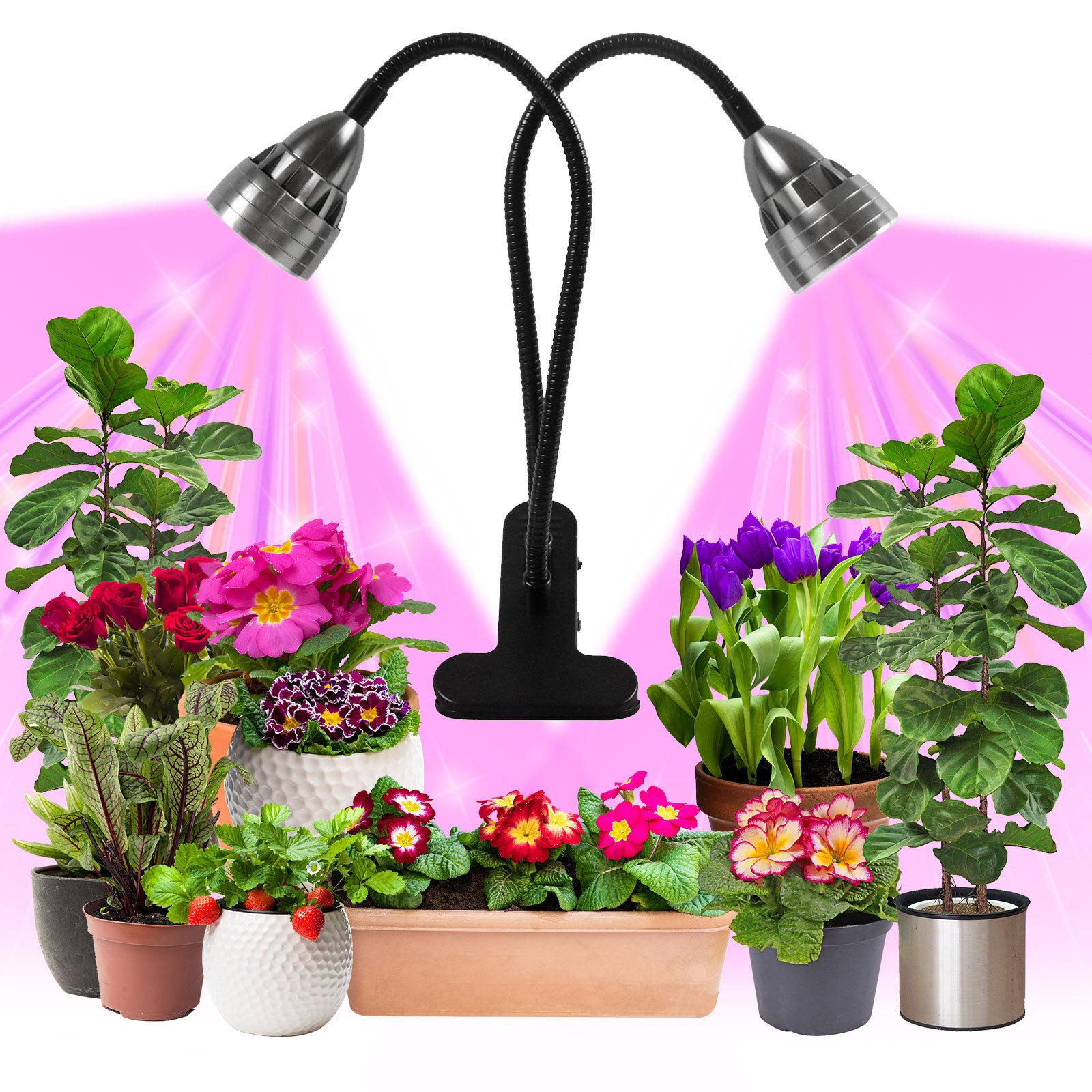 MUPOO Pflanzenlampe Vollspektrum Wachstumslampen Auto Timer,USB Grow Lamp,C günstig online kaufen