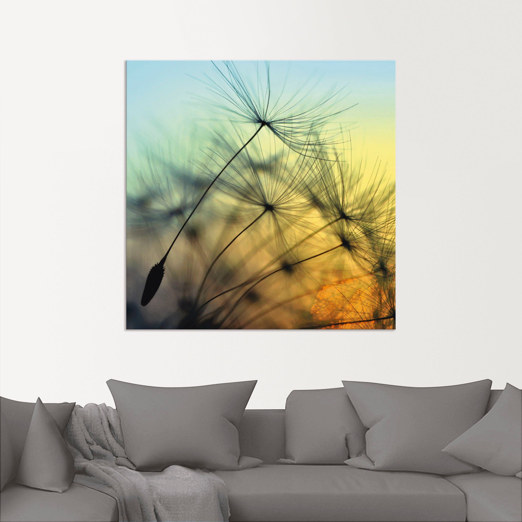 Artland Alu-Dibond-Druck Goldener Sonnenuntergang und Pusteblumen, Blumen (1 St), für Innen- und Außenbereich geeignet, Outdoorbild