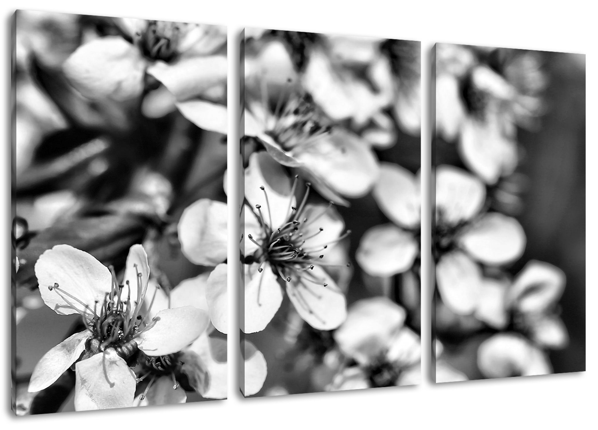Pixxprint Leinwandbild Kirschblüten Retro, Kirschblüten Retro 3Teiler (120x80cm) (1 St), Leinwandbild fertig bespannt, inkl. Zackenaufhänger