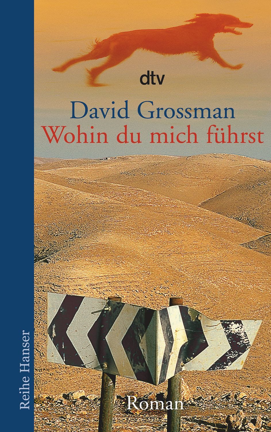 Wohin du mich führst / David Grossman