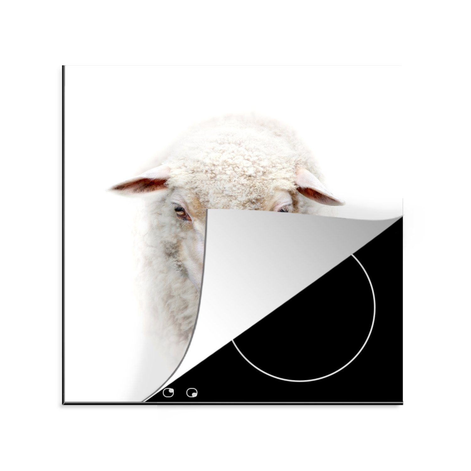MuchoWow Herdblende-/Abdeckplatte Schafe - Porträt - Wolle, Vinyl, (1 tlg), 78x78 cm, Ceranfeldabdeckung, Arbeitsplatte für küche