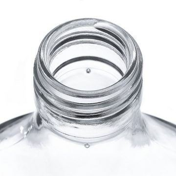 MamboCat Einmachglas 6er Set Taschenflasche 200 ml incl. Deckel PP 28 Silber Fläschchen, Glas