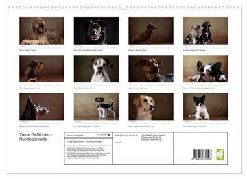 CALVENDO Wandkalender Treue Gefährten - Hundeportraits (Premium, hochwertiger DIN A2 Wandkalender 2023, Kunstdruck in Hochglanz)