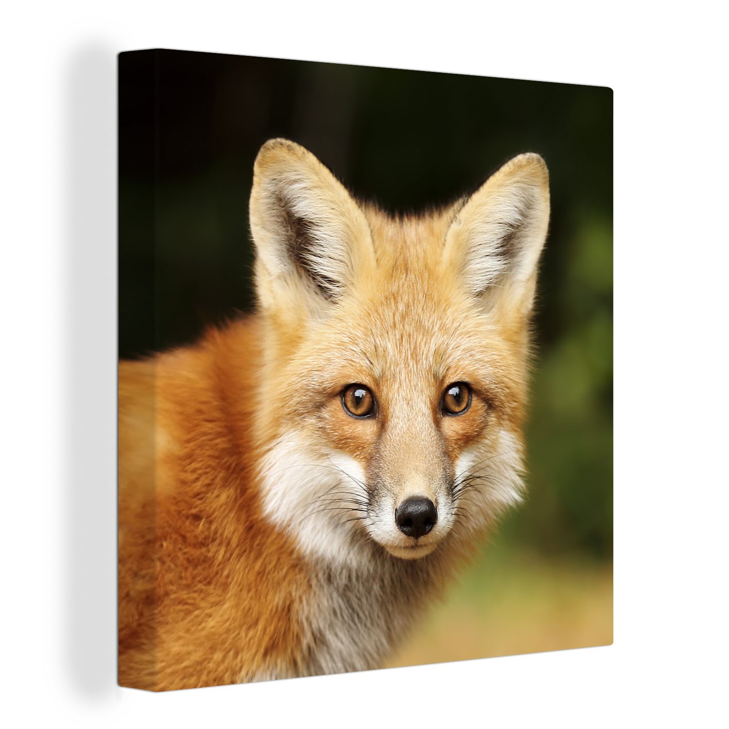 OneMillionCanvasses® Leinwandbild Fuchs - Welpe - Porträt, (1 St), Leinwand Bilder für Wohnzimmer Schlafzimmer bunt