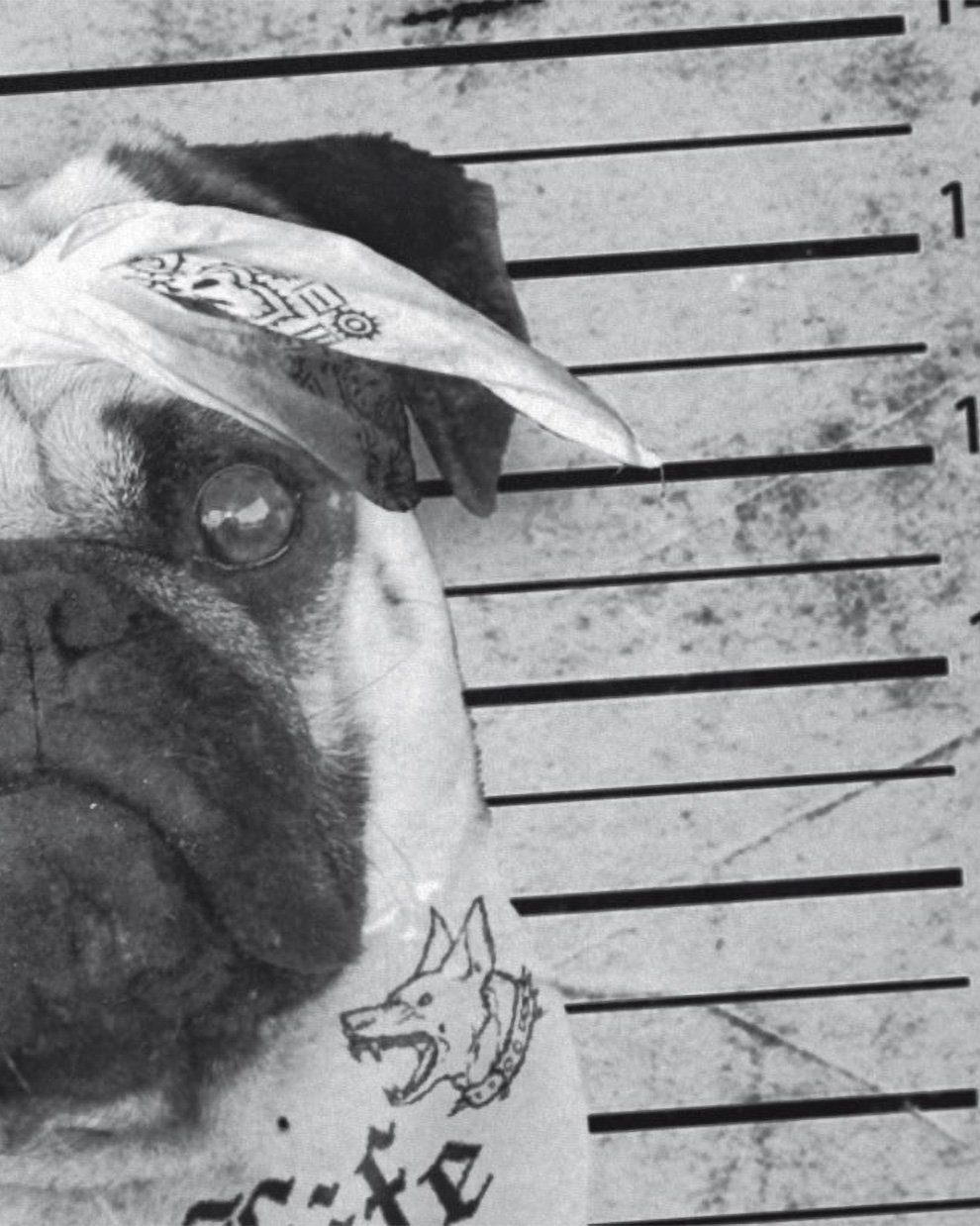 style3 Print-Shirt tätowiert inked hund Herren Mops biker T-Shirt Tattoo weiß us rock pug gangster punk