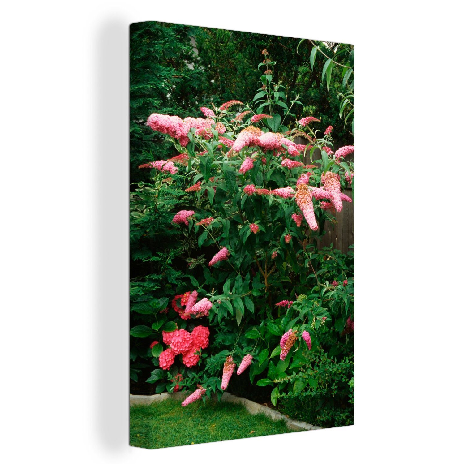 OneMillionCanvasses® Leinwandbild Rosa Schmetterlingsstrauch in einem Garten, (1 St), Leinwandbild fertig bespannt inkl. Zackenaufhänger, Gemälde, 20x30 cm