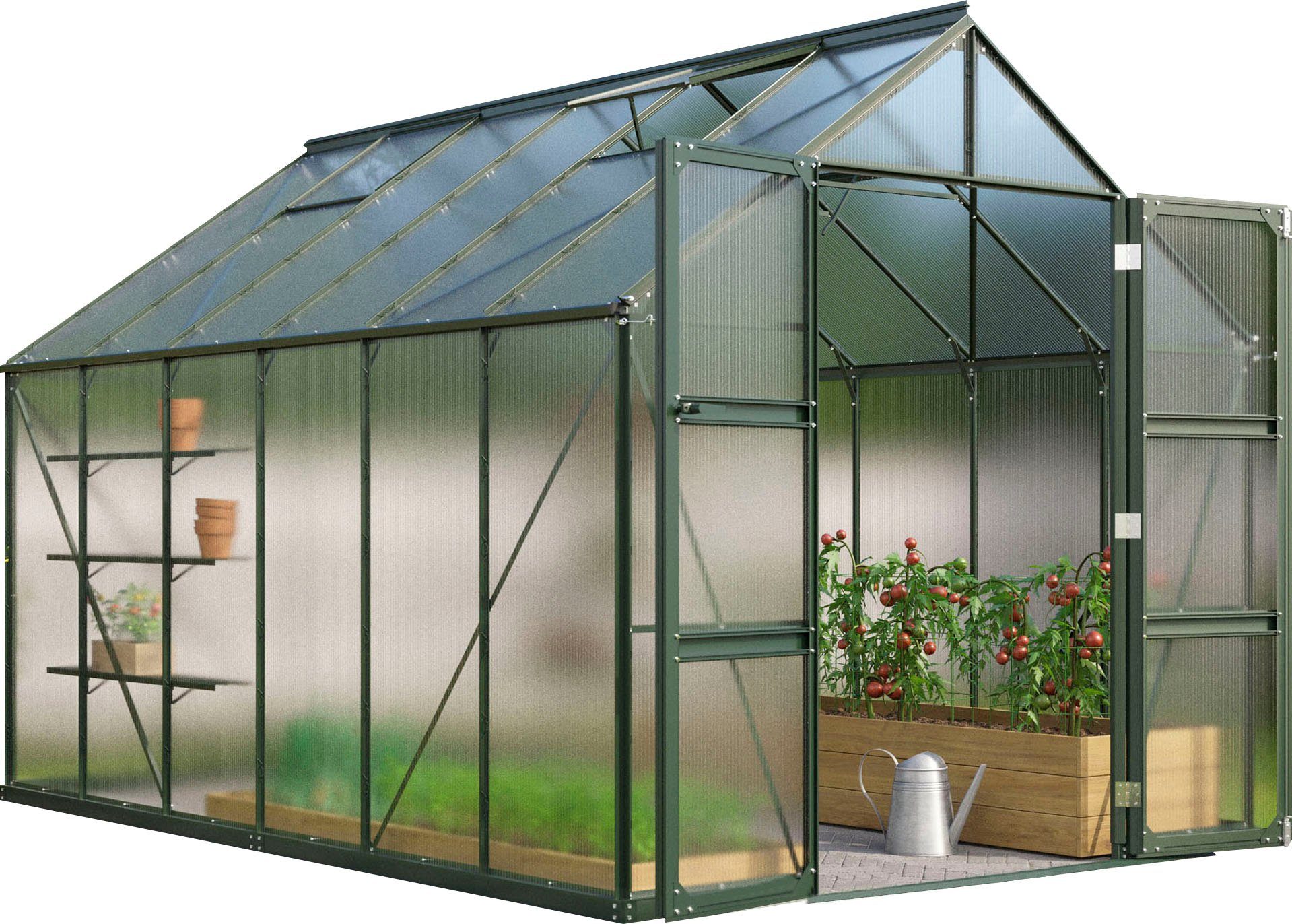 Vitavia Gewächshaus Domus 9900, BxTxH: 257 x 387 x 253,9 cm, 4 mm Wandstärke, mit Doppelschwingtüren und bodentiefer Türschwelle, 4 mm Hohlkammer grün