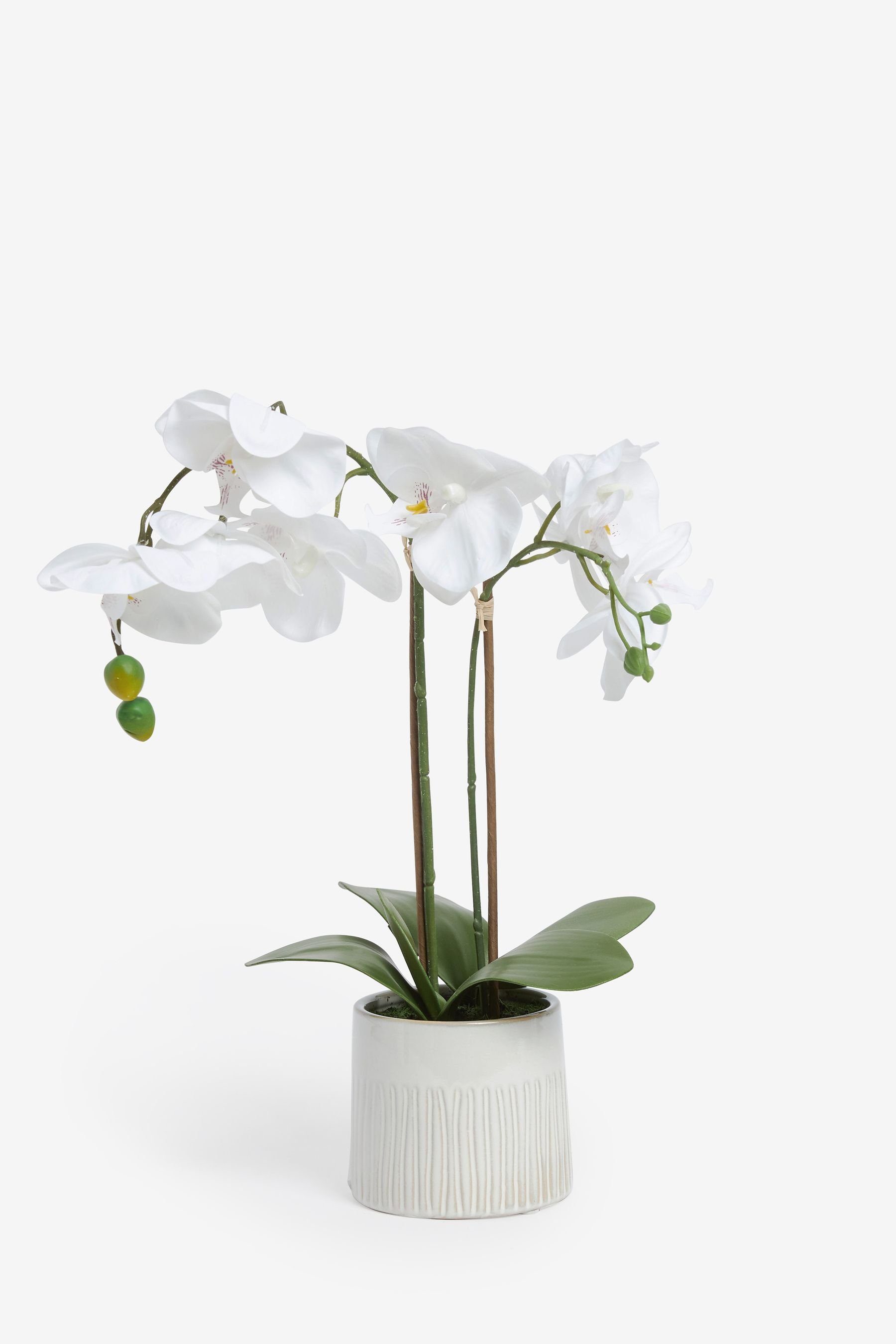 Künstliche Zimmerpflanze Künstliche, echt aussehende Orchidee im, Next