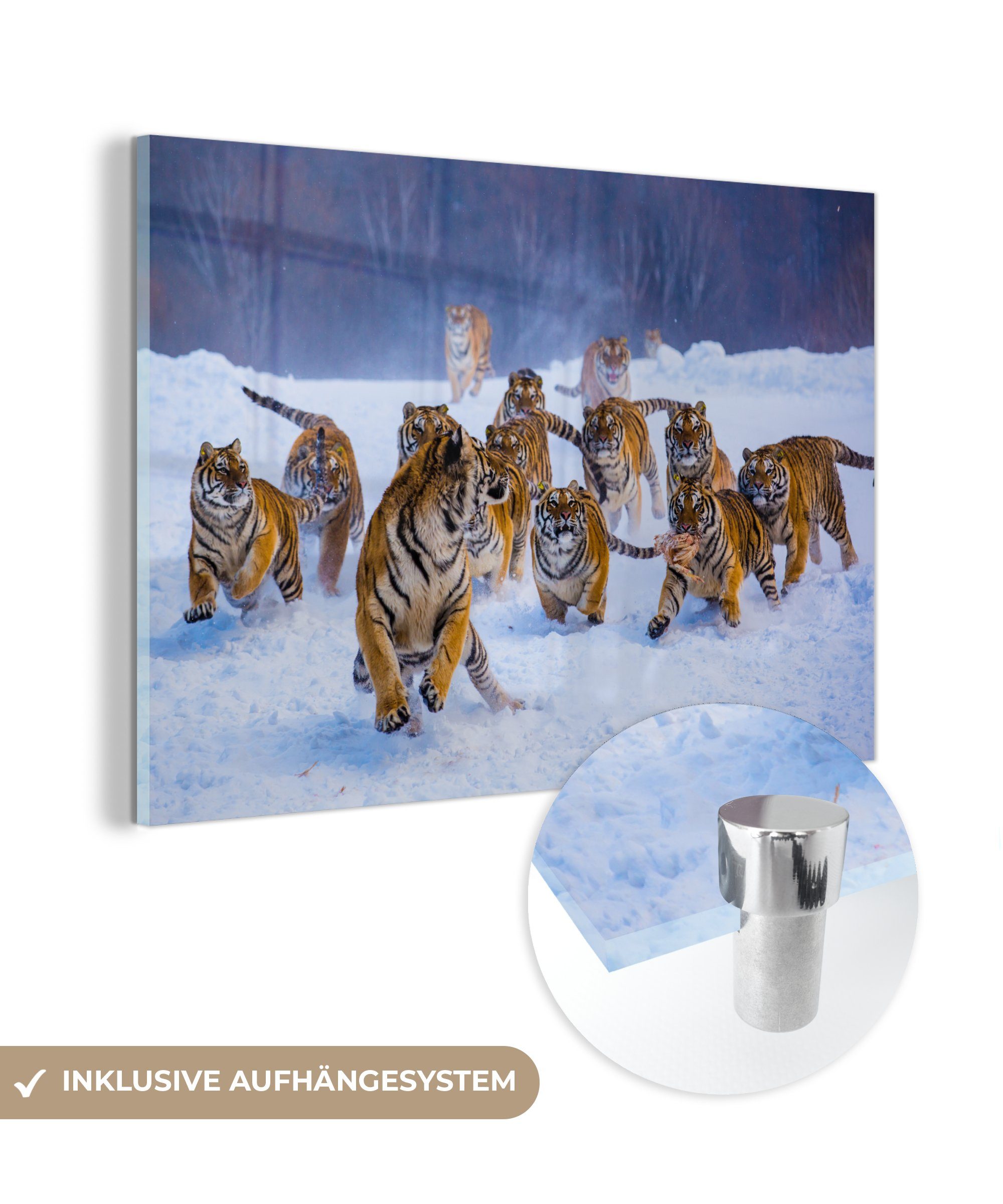 MuchoWow Acrylglasbild Tiger - Schnee - Wilde Tiere - Winter, (1 St), Acrylglasbilder Wohnzimmer & Schlafzimmer