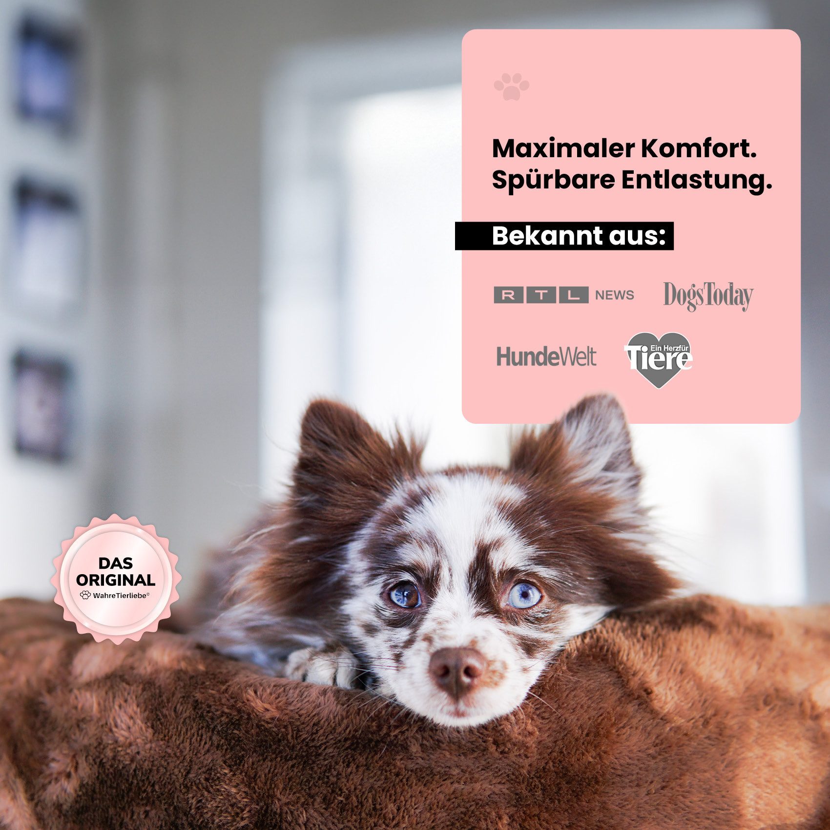 Wahre Tierliebe Tierbett - Orthopädisches Hundebett Deluxe, Deutschlands Original, waschbar, Verschiedene Größen und Farben, extra flauschig – Bild 5 von 5