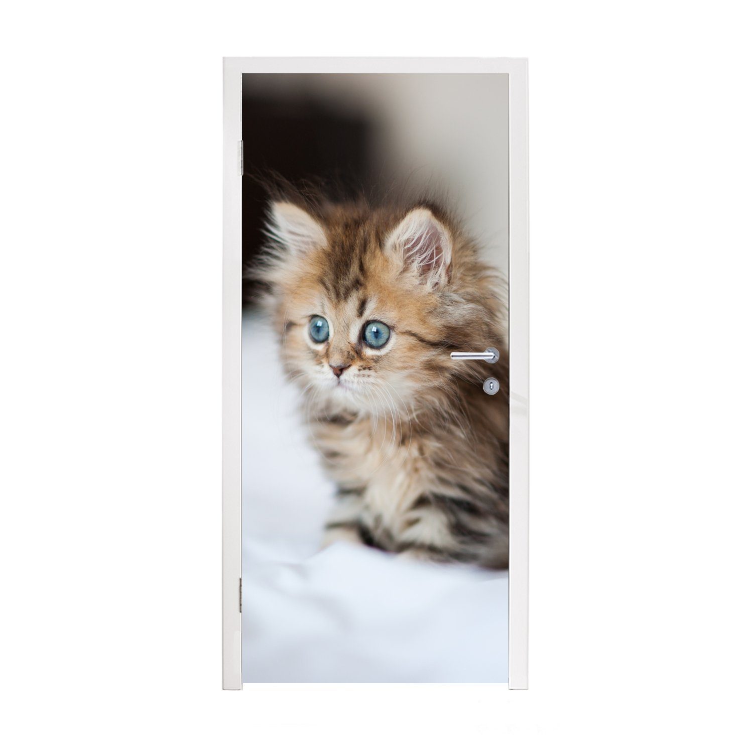 MuchoWow Türtapete Niedliches persisches Kätzchen, Matt, bedruckt, (1 St), Fototapete für Tür, Türaufkleber, 75x205 cm