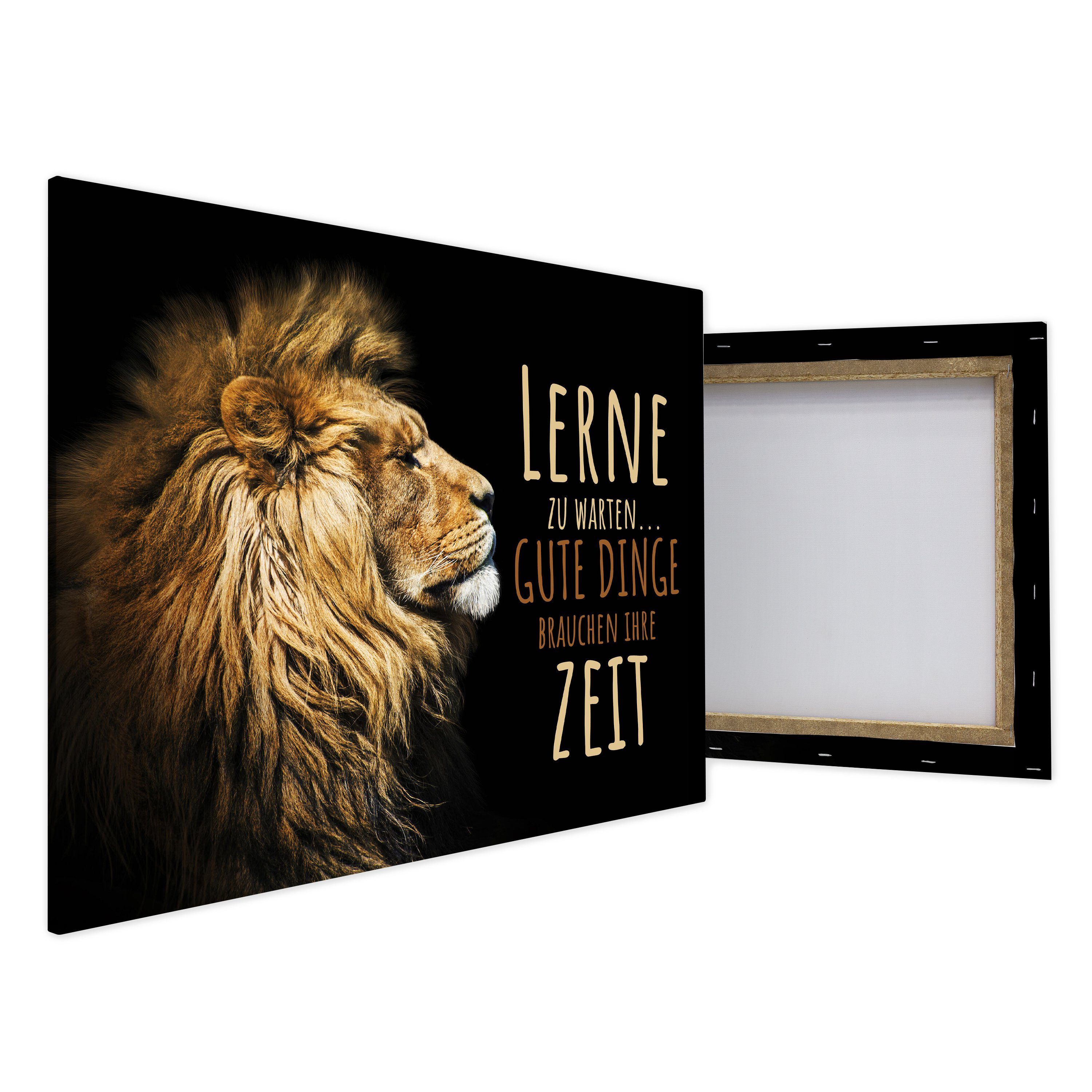 wandmotiv24 Leinwandbild Löwen, St), lerne Querformat, (1 zu Löwe, Leinwandbilder Wanddeko, in Tiere versch. Wandbild, warten, Größen