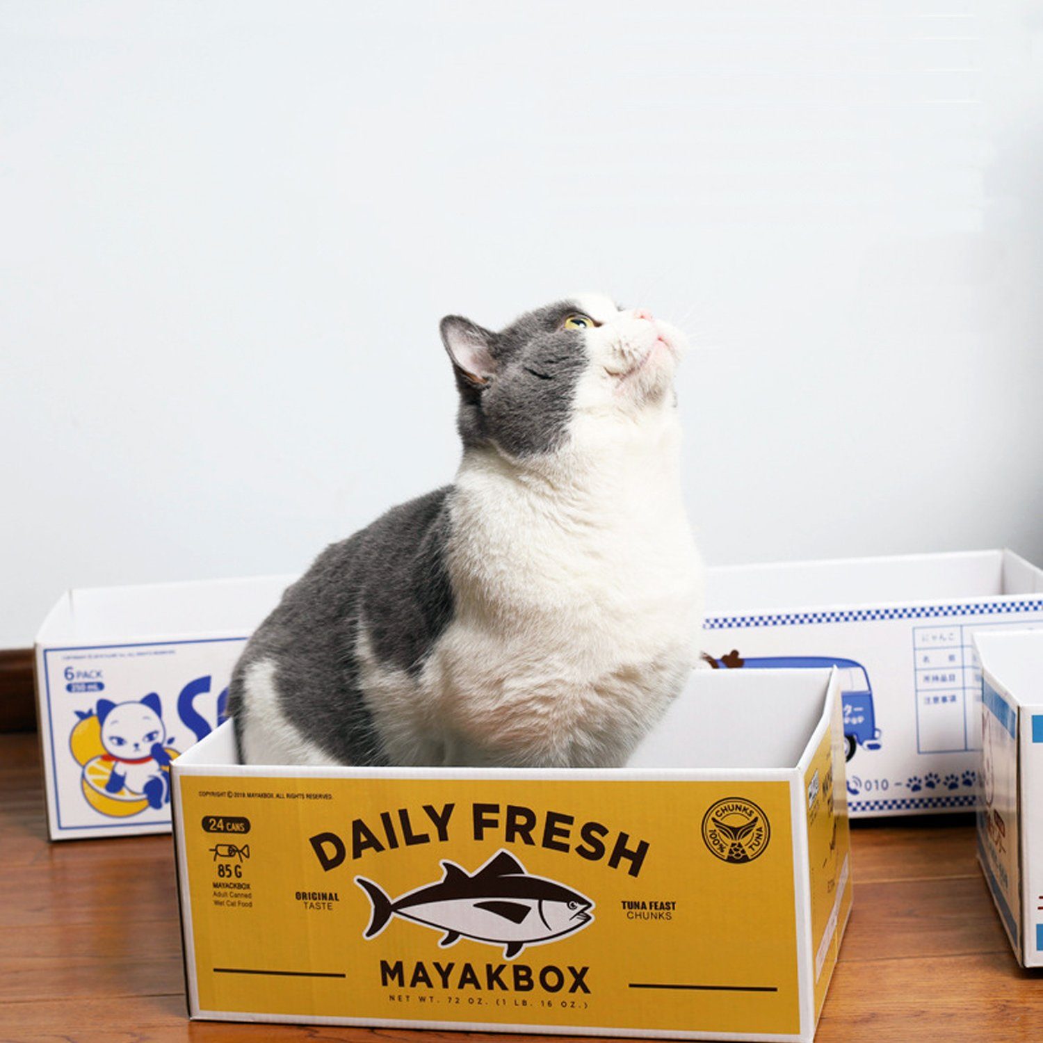 zggzerg Kratzbrett »Kratzpads für Katzen - Tragbare Katzenkratzbox mit  Katzenkratzbrett - Robuste doppelseitige kratzpappe für Katzen Lochdesign«  online kaufen | OTTO