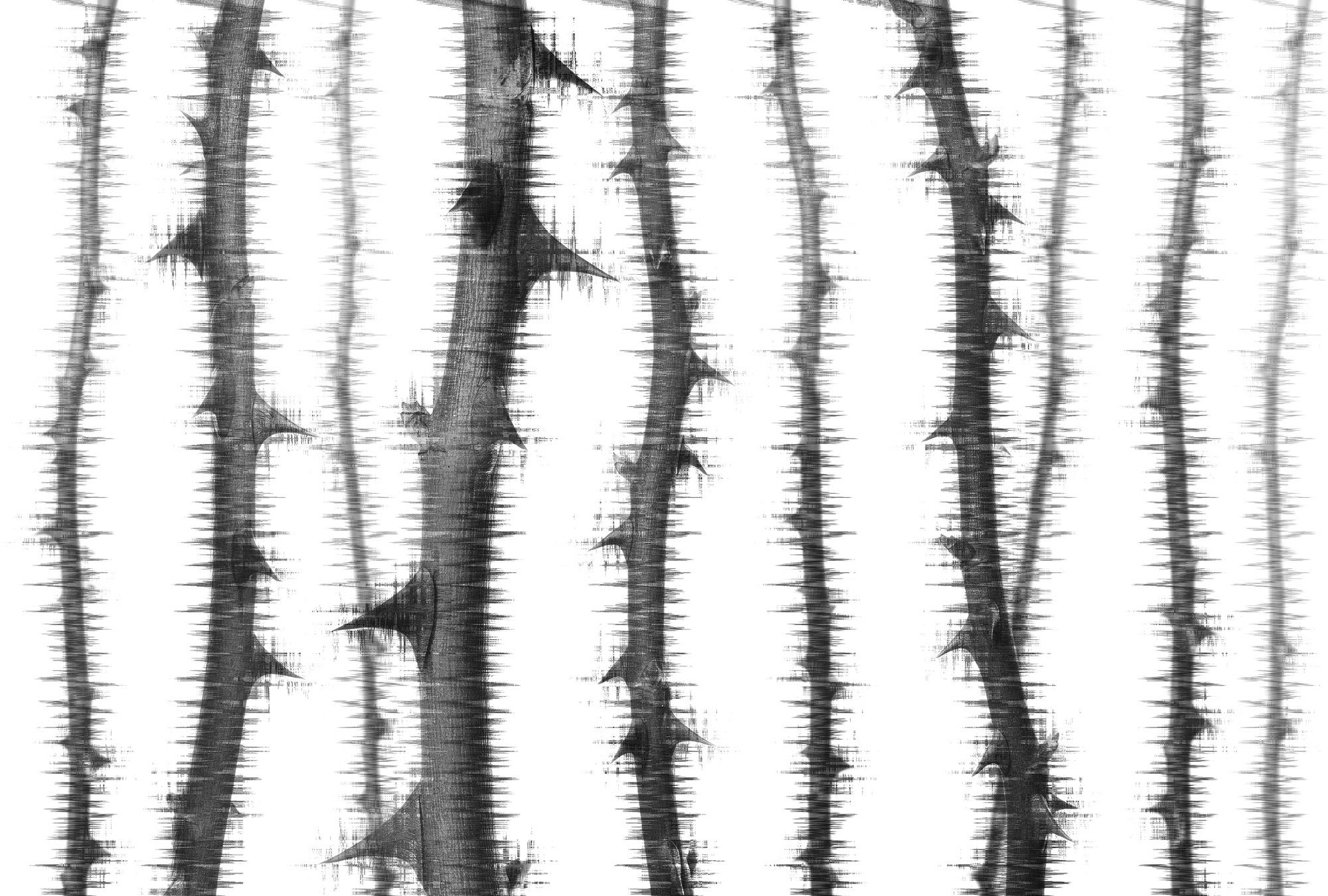 Architects Paper Fototapete Atelier 47 Blurred Thorns 2, glatt, floral, (4 St), Vlies, Wand, Schräge, Decke