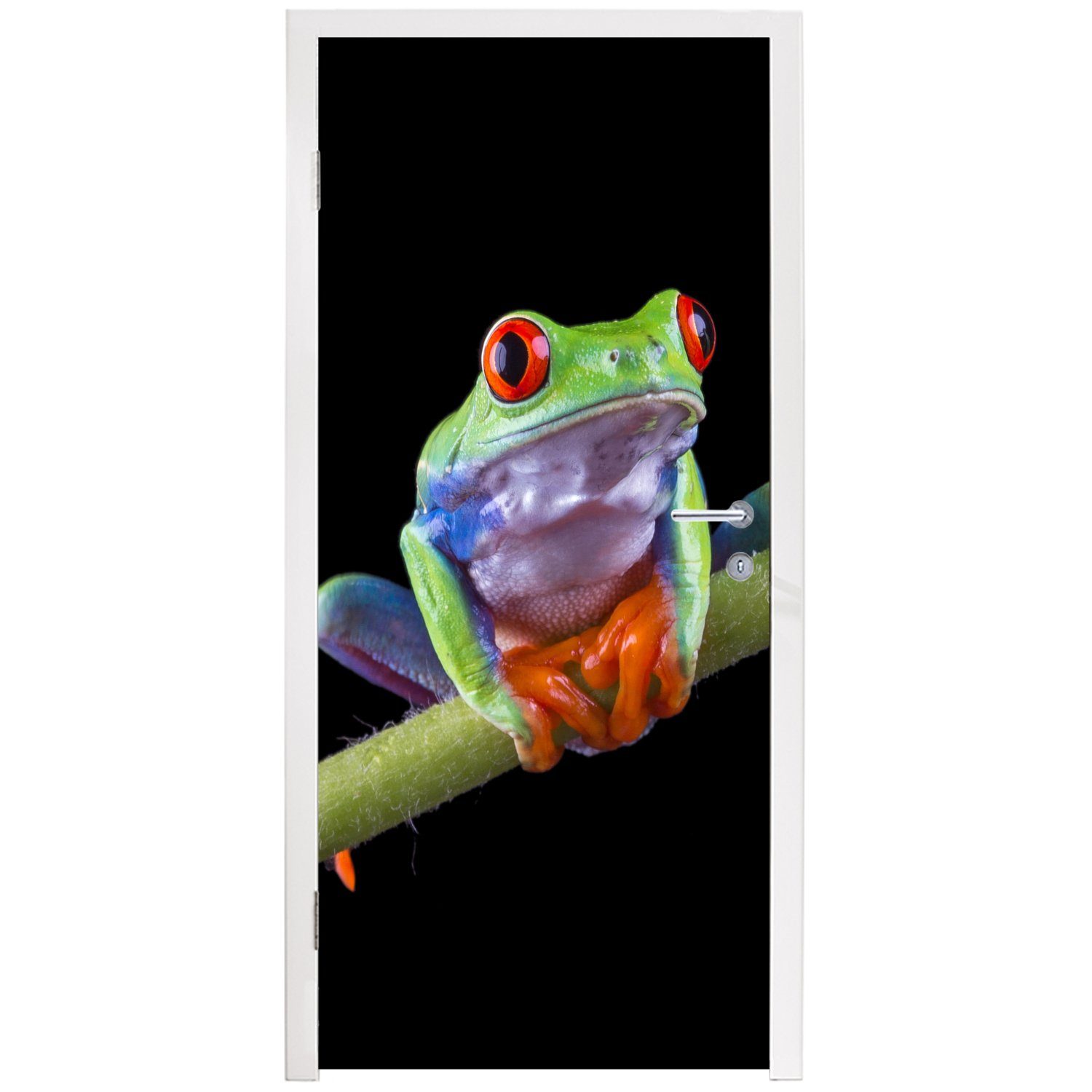 Frosch - Matt, Pflanze Türaufkleber, (1 für Fototapete - Schwarz, MuchoWow bedruckt, St), Türtapete Tür, cm 75x205