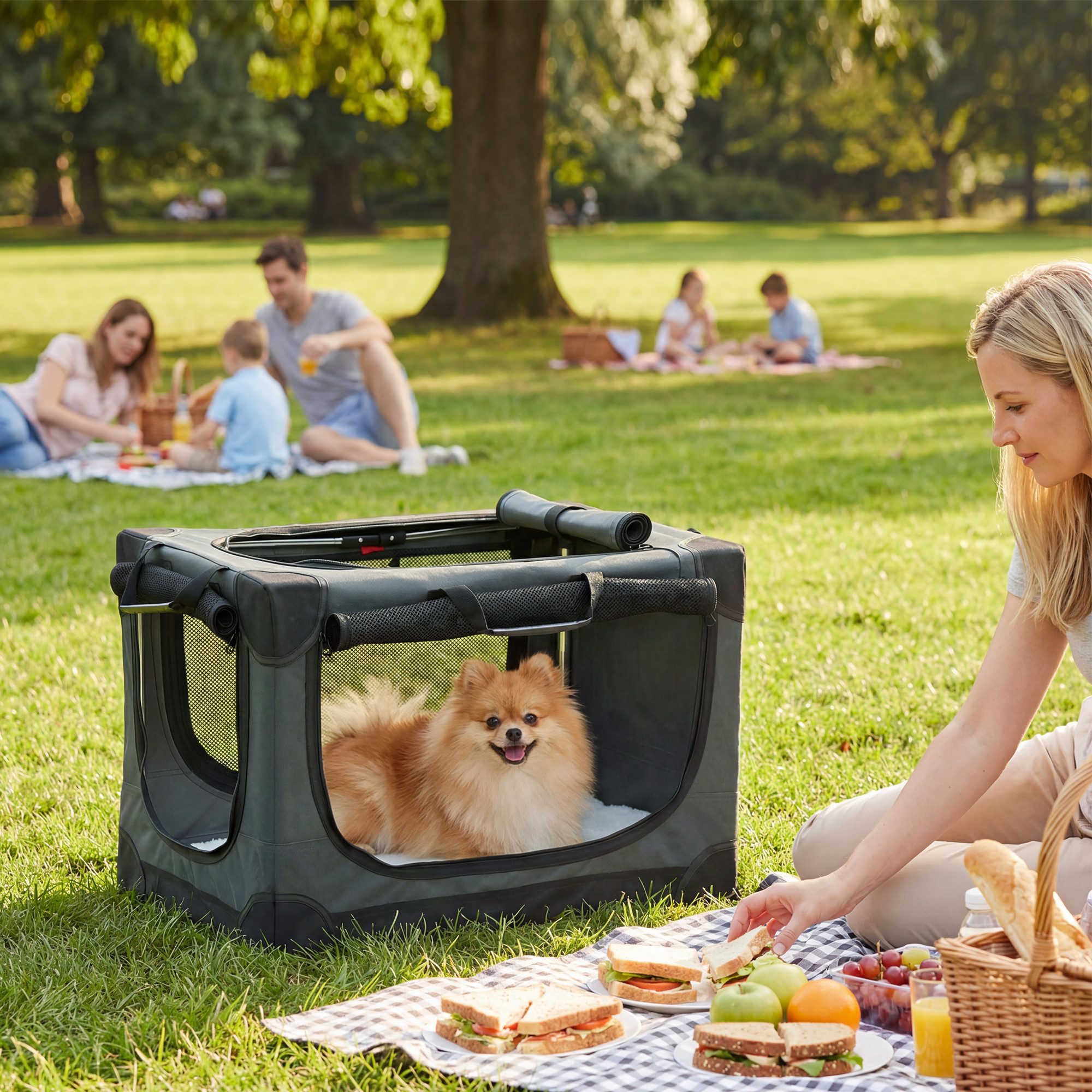 PawHut Tiertransportbox Hundebox faltbar 60x42x43cm Hundetransportbox mit Kissen bis 4 kg, Transportbox aus 600D Oxford-Gewebe für Reise & Auto Armeegrün