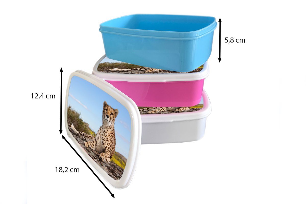MuchoWow Lunchbox Leopard - Kinder, Brotbox rosa Natur, - Brotdose Tiere Kunststoff Kunststoff, für Mädchen, Erwachsene, (2-tlg), Snackbox