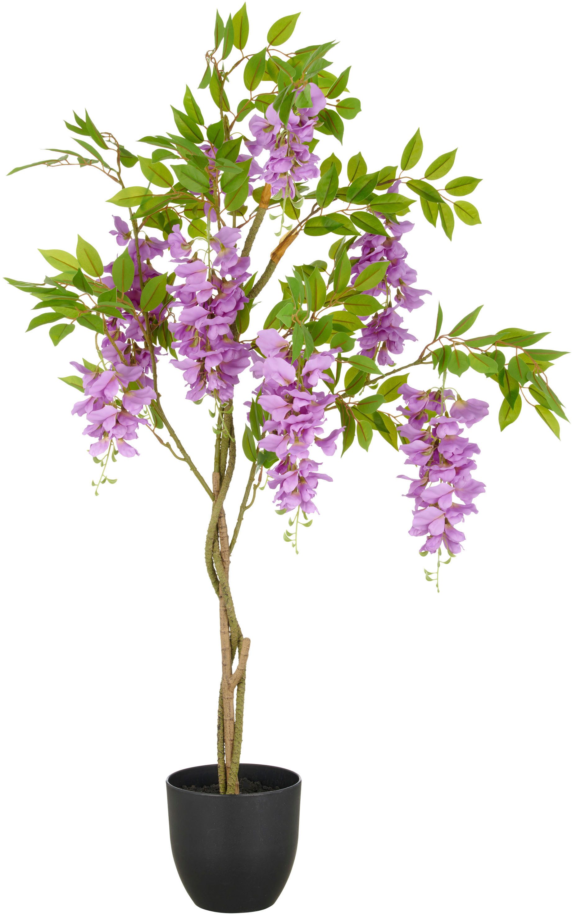 Kunstpflanze Wisteria, Creativ green, Höhe 100 cm, mit zahlreichen Blüten günstig online kaufen