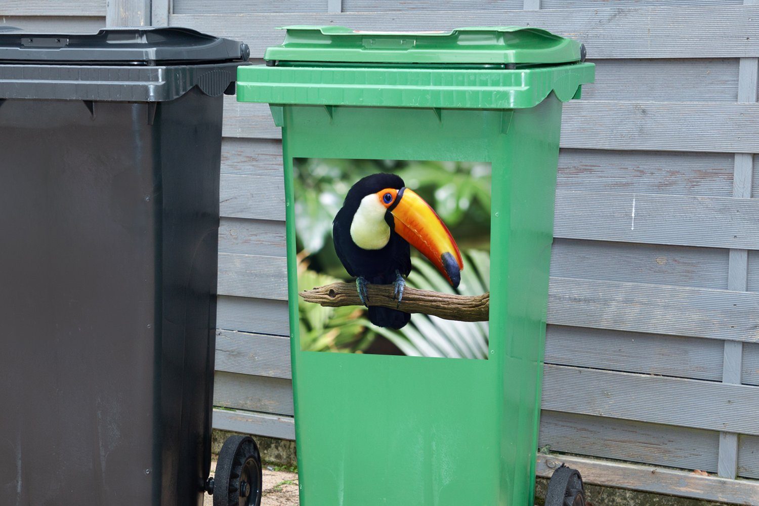 MuchoWow Wandsticker Ein Tukan (1 schaut Container, Ast Mülleimer-aufkleber, herunter Sticker, Mülltonne, einem von Abfalbehälter St)