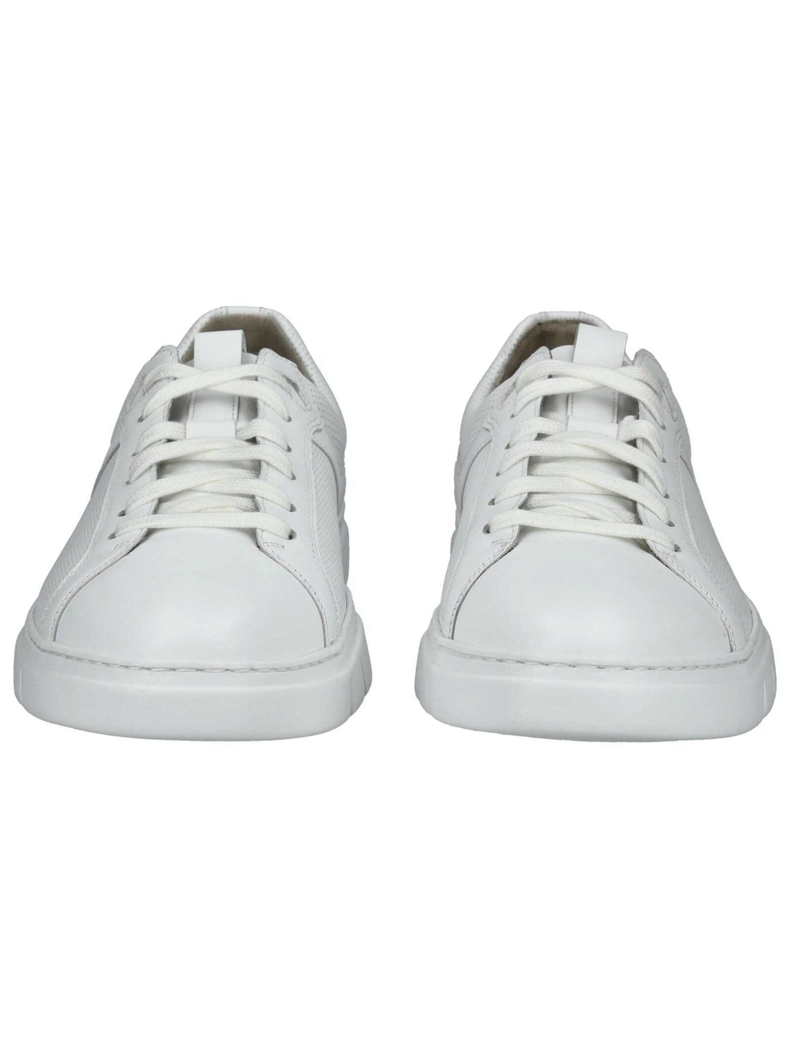Pius Gabor Pius Gabor Sneaker Leder Sneaker