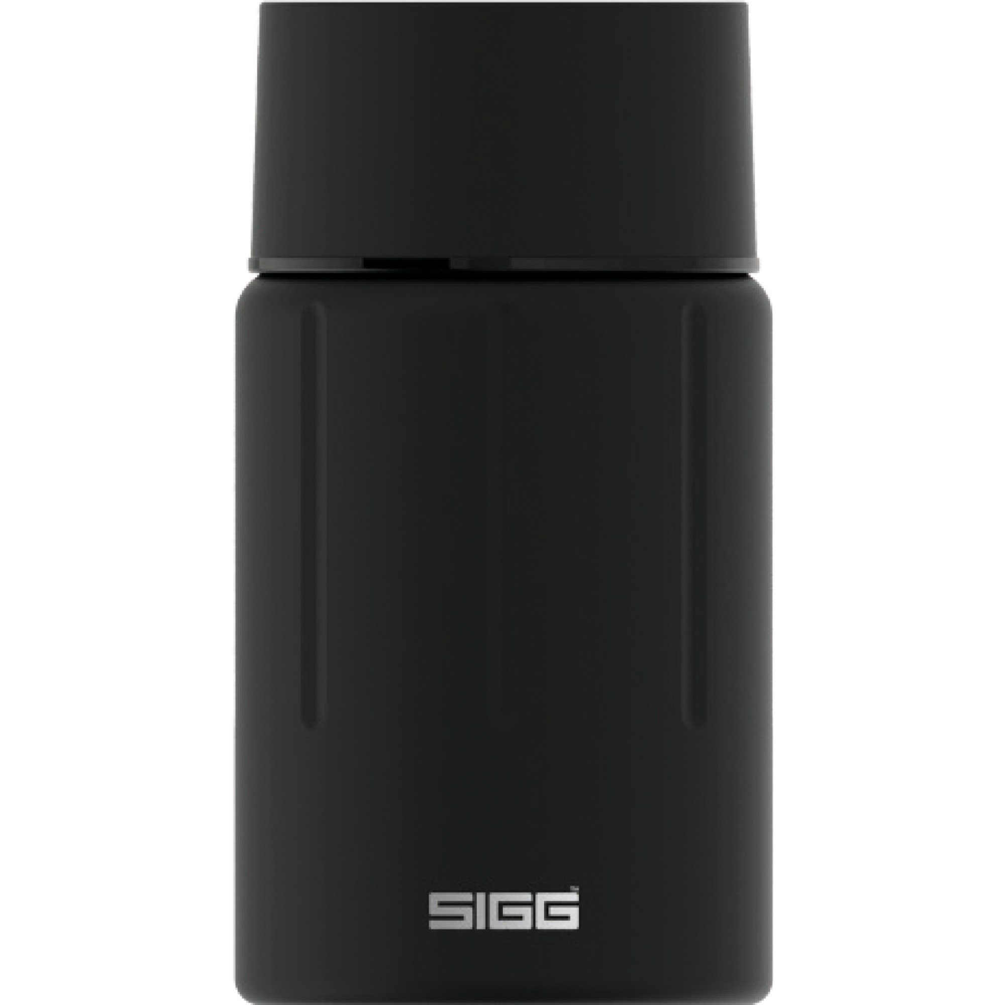 FJ 0,75L Trinkflasche Obsidian SIGG Thermobox Sigg Gemstone