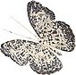 Home affaire Wanddekoobjekt »Wanddeko Vintage Butterfly«, Wanddekoration, Schmetterling, aus Metall, Bild 1