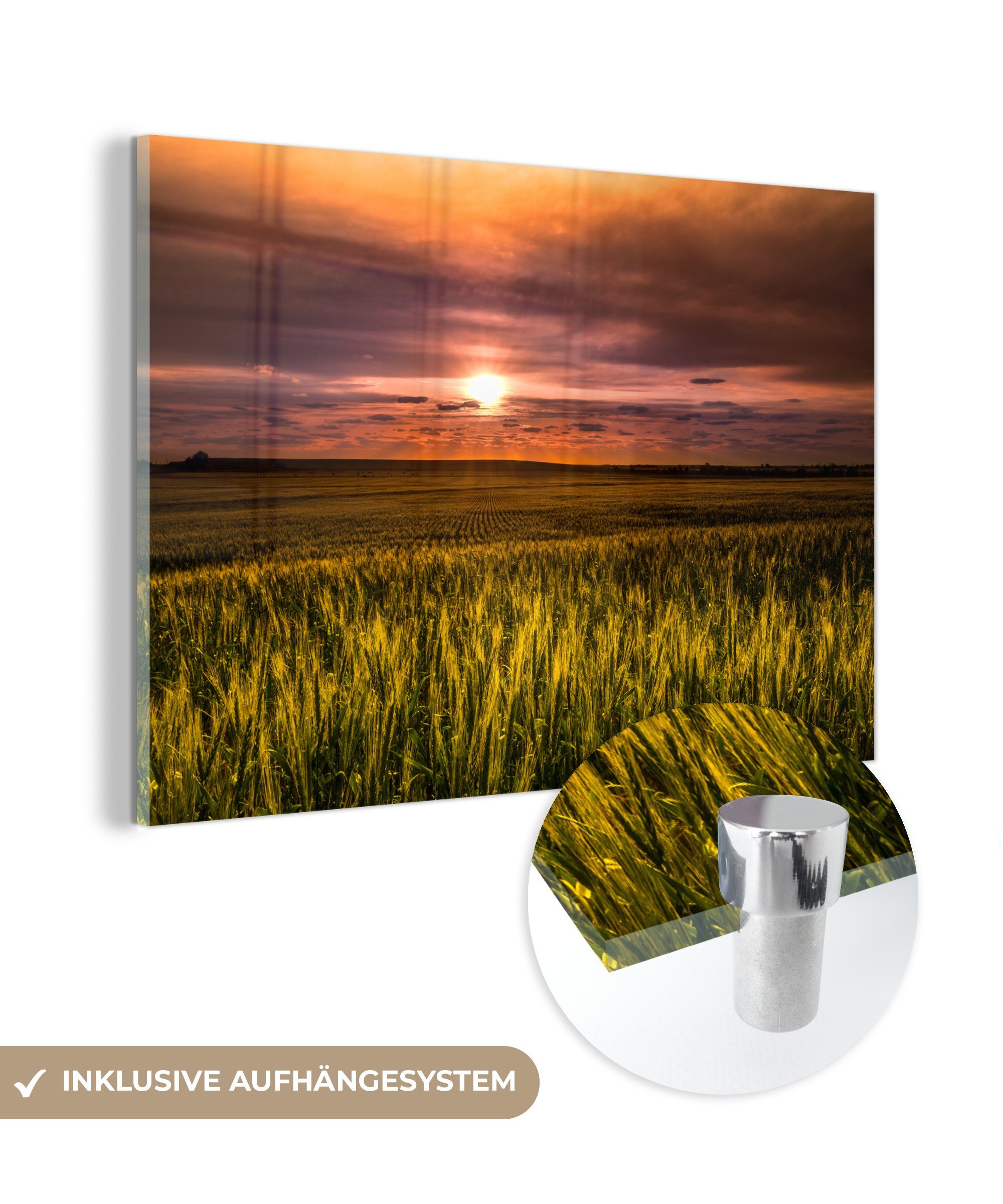 MuchoWow Acrylglasbild Untergehende Sonne am Feld, (1 St), Acrylglasbilder Wohnzimmer & Schlafzimmer