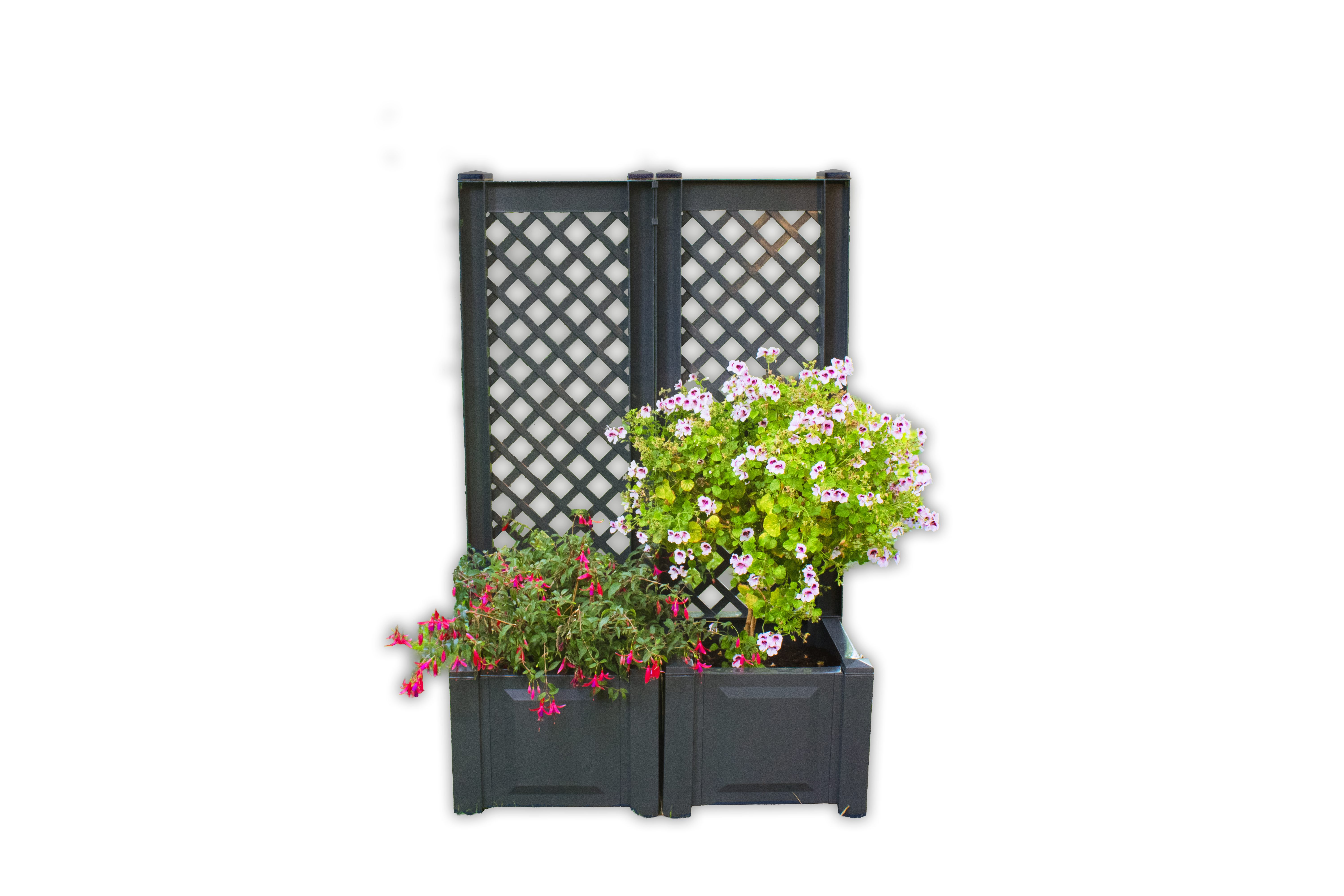 KHW Spalier, 1 St., mit Pflanzkasten, BxTxH: 43x43x140 cm