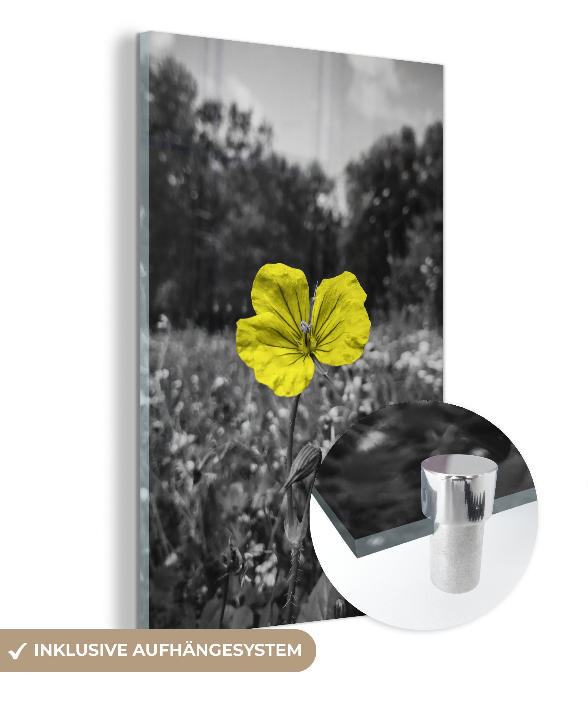 MuchoWow Acrylglasbild Blumen - Gelb - Schwarz - Weiß, (1 St), Glasbilder - Bilder auf Glas Wandbild - Foto auf Glas - Wanddekoration
