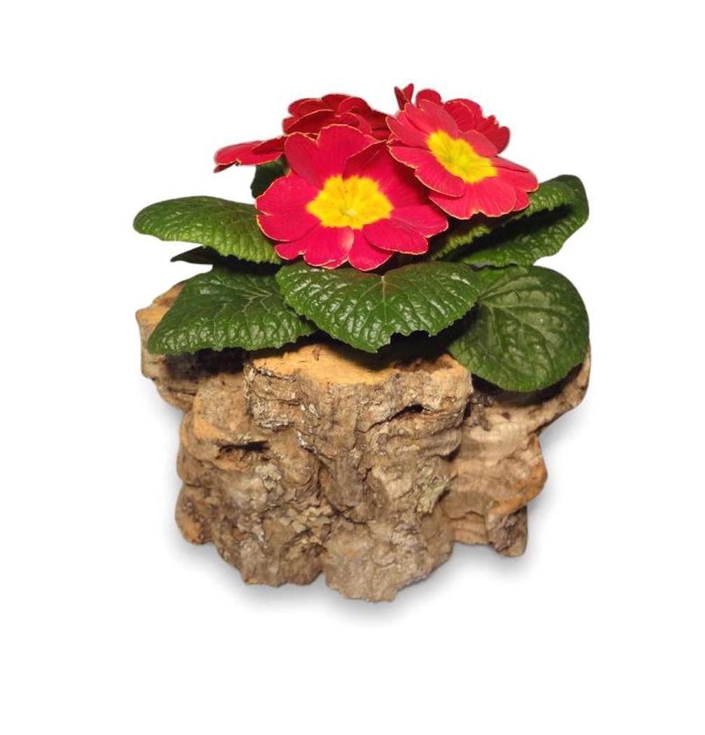 Kork-Deko.de Blumentopf Kork-Blumenübertopf / Blumentopf M = ca. 10 cm
