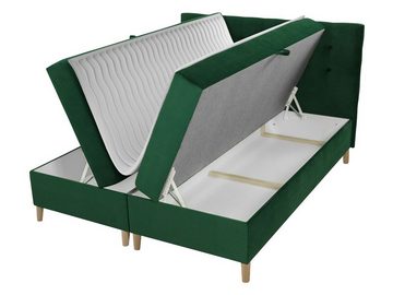 MIRJAN24 Boxspringbett Avanti (Lattenrost, Matratze, Topper), mit 2 Bettkästen, Holz Fuße