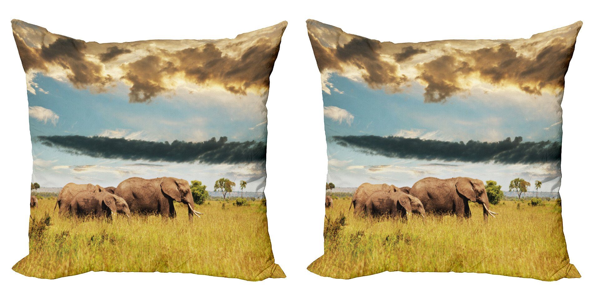 Kissenbezüge Modern Accent Doppelseitiger Digitaldruck, Abakuhaus (2 Stück), afrikanisch Elefant-Familien-Foto