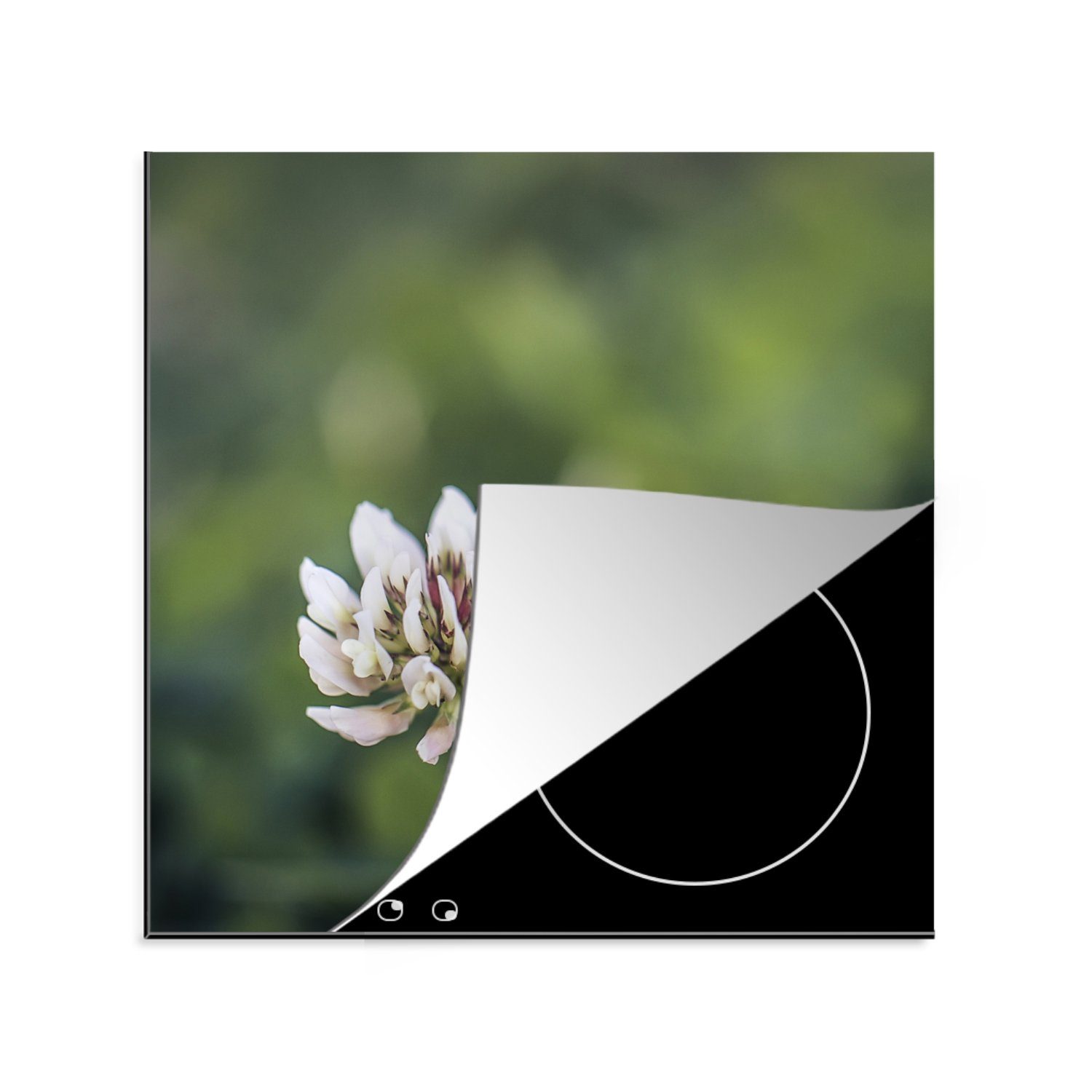 MuchoWow Herdblende-/Abdeckplatte Biene - Insekt - Blume, Vinyl, (1 tlg), 78x78 cm, Ceranfeldabdeckung, Arbeitsplatte für küche | Herdabdeckplatten