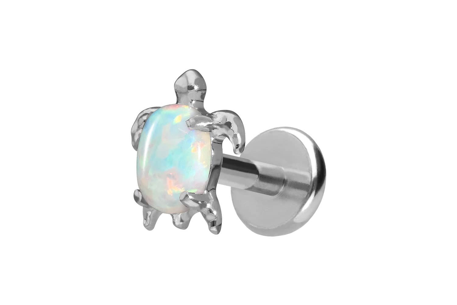 Piercing-Set Titan Labret mit Push Fit SCHILDKRÖTE