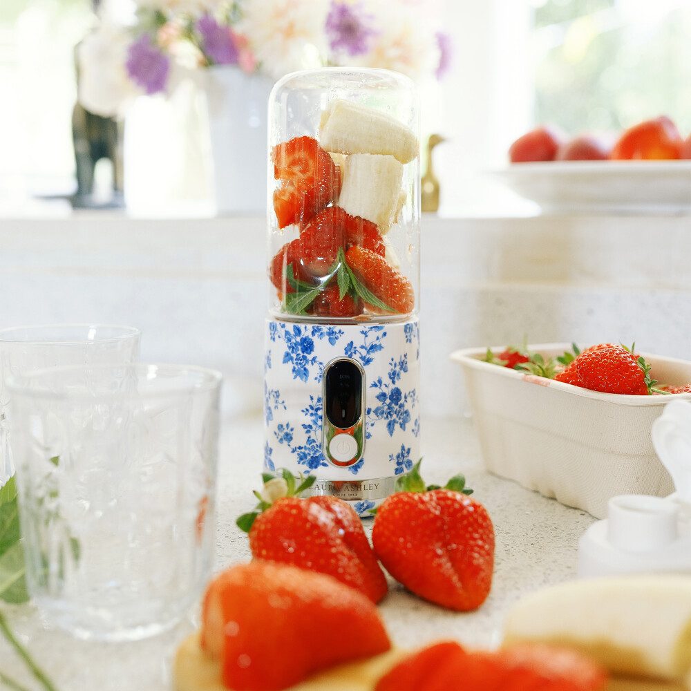 VQ Standmixer Laura Ashley Stabmixer Smoothie Maker 450ml Flasche – China Rose VQ, 100.00 W