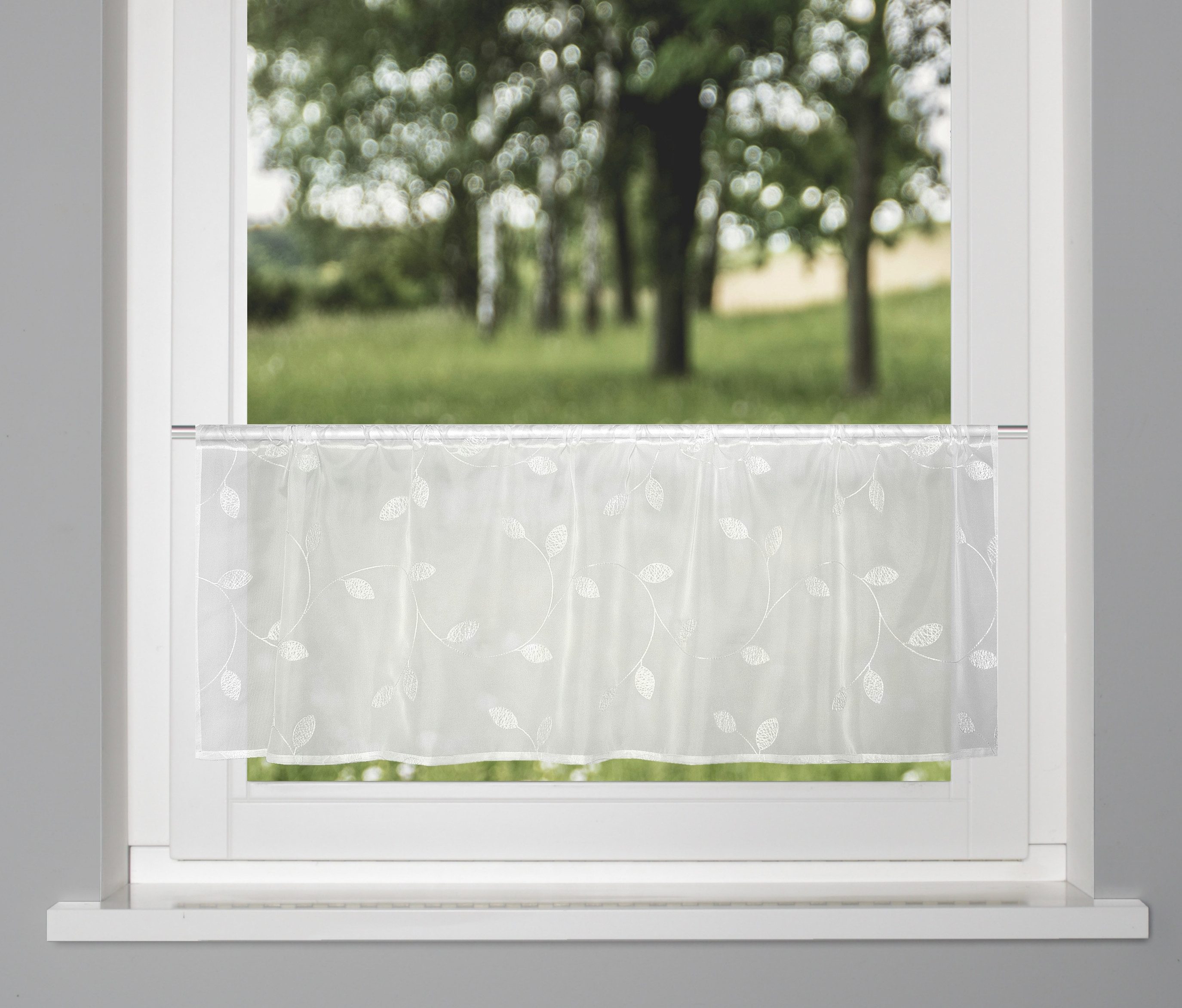 HOME WOHNIDEEN Scheibengardine SHARY (1 St), Stangendurchzug, transparent, günstig online kaufen