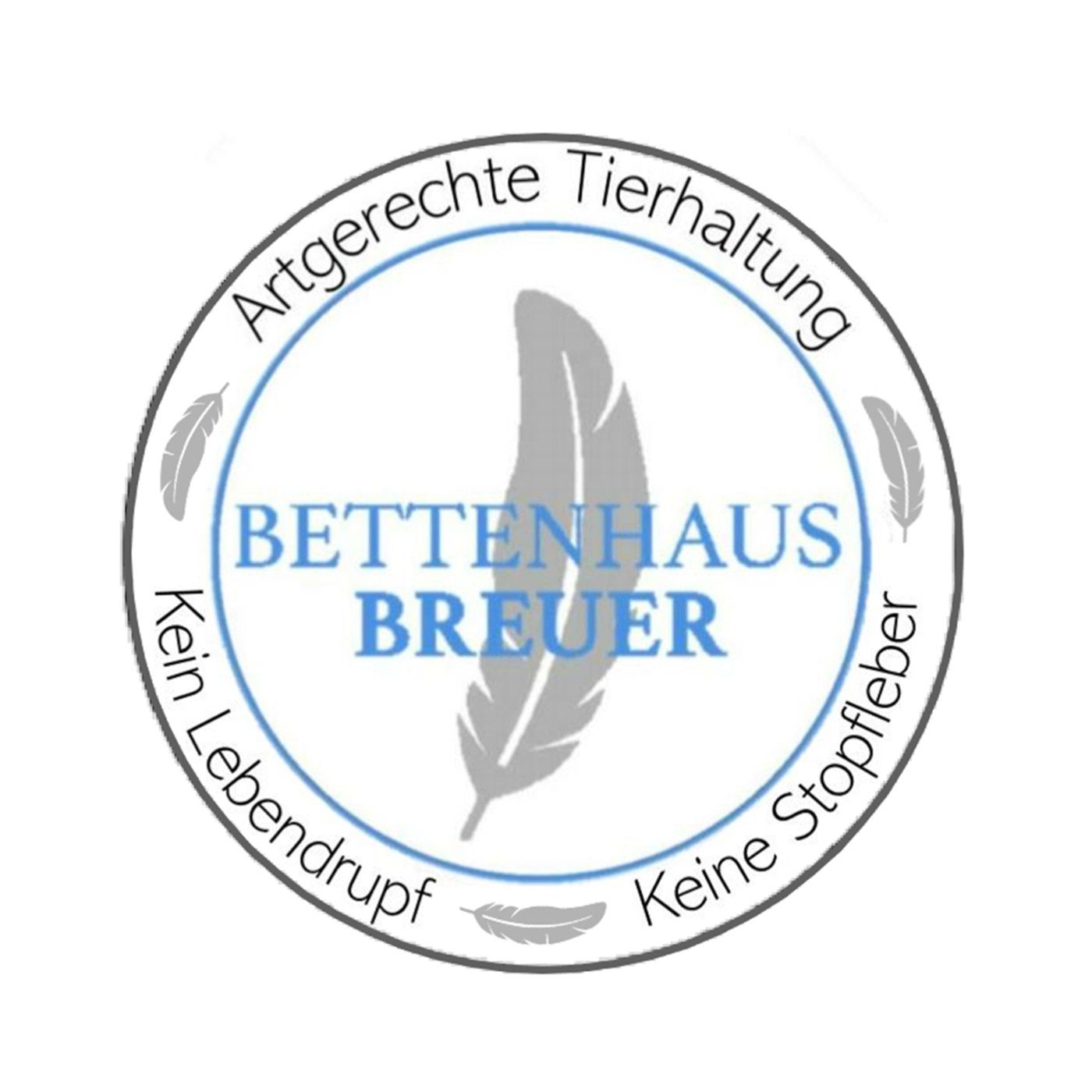 100% Federn, Füllung: 10% Bettenhaus warme 135x200 sibirische Breuer, Bezug: Daunen Baumwolle, Winter Daunen, Extra Daunenbettdecke, Allergikergeeignet 90% 100% 1300g, Daunendecke