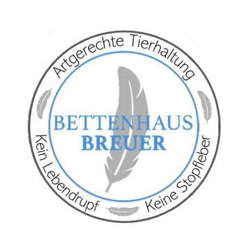 Daunenbettdecke, Neue 100% sibirische Daunen Bettdecke Kassettendecke 155x220 750g 60°, Bettenhaus Breuer, Füllung: 100% sibirische Daunen, Bezug: 100% Baumwolle