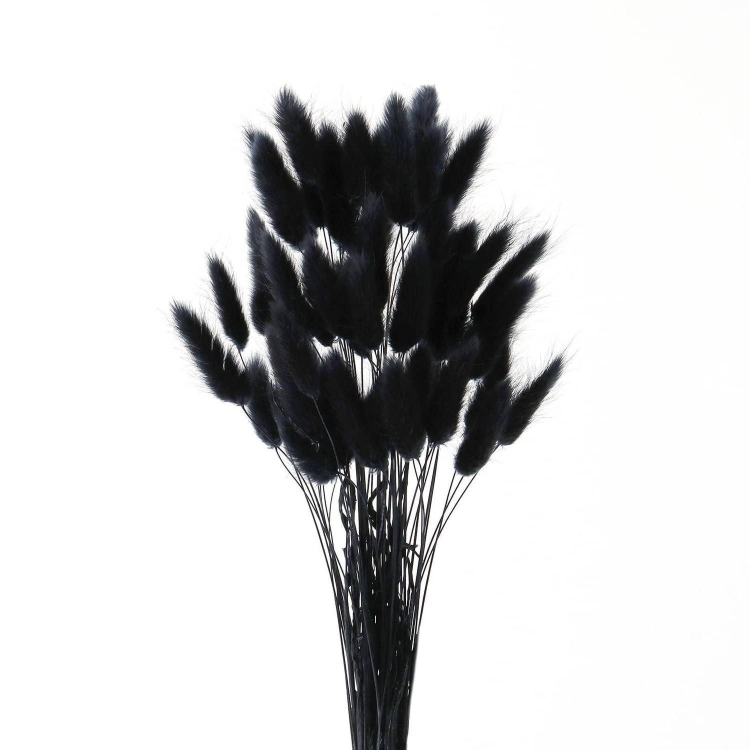 Trockenblume Trockenblumen Pampasgras Schwarz 60 Stk., LuxusKollektion, Höhe 10 cm