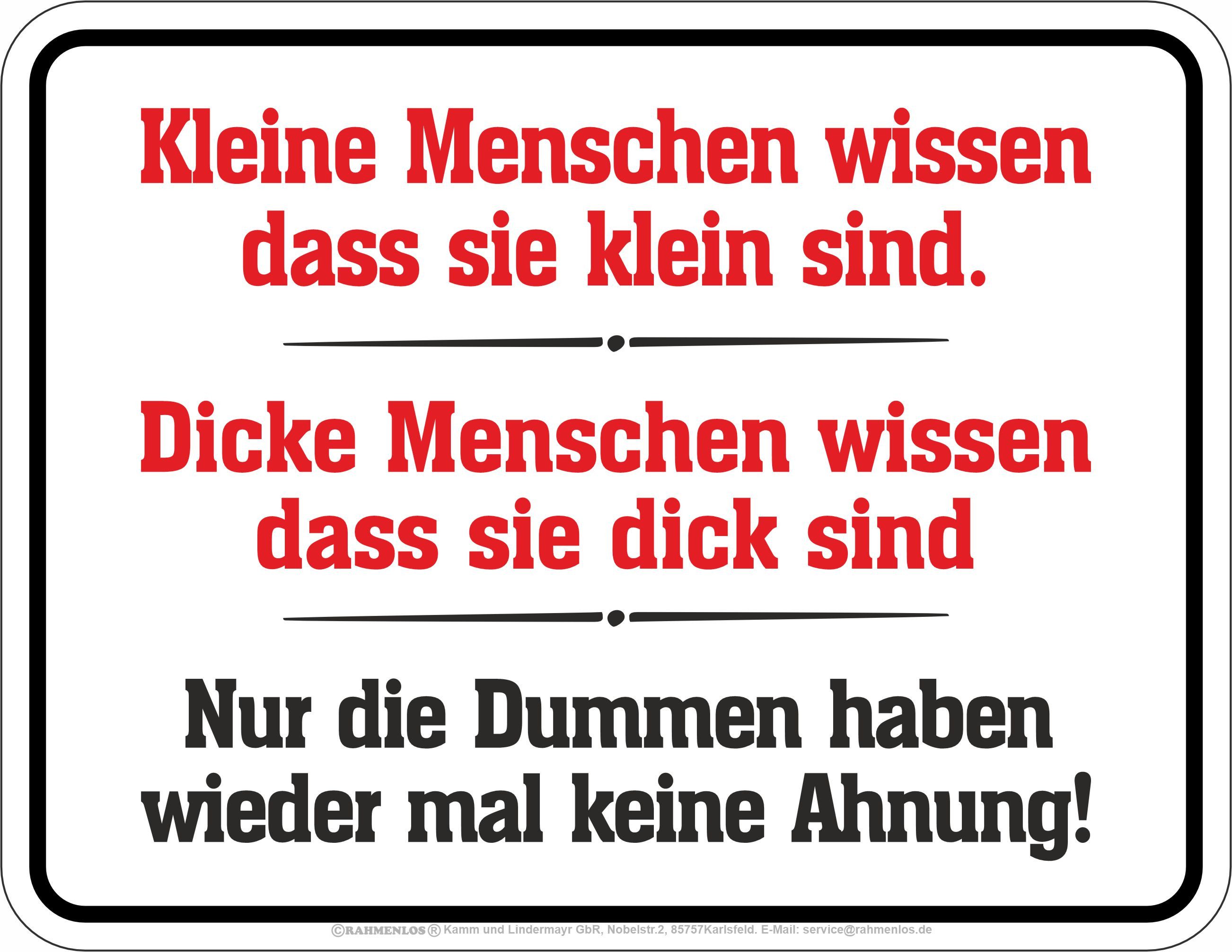 Metallschild Fun - keine Ahnung - hochwertig bedrucktes Blechschild - Größe 22x17