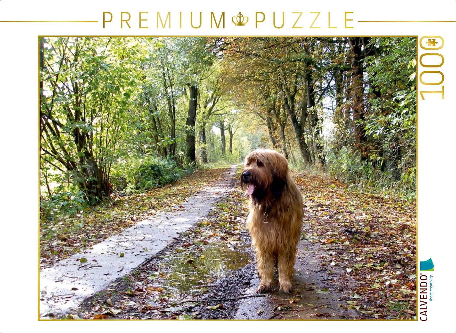 CALVENDO Puzzle CALVENDO Puzzle Briard auf Herbstwanderung 1000 Teile Puzzle quer, 10, 1000 Puzzleteile
