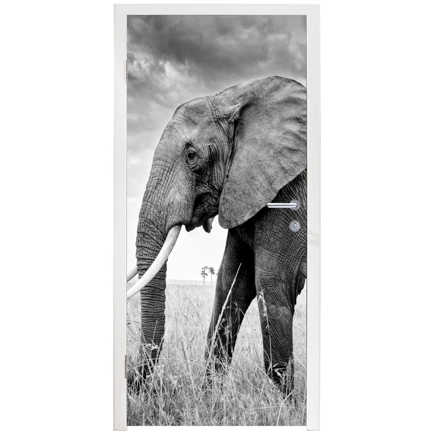 Elefant Schwarz St), 75x205 Türaufkleber, für Gras - weiß, Türtapete (1 Matt, bedruckt, Tiere cm - und MuchoWow Tür, Fototapete -