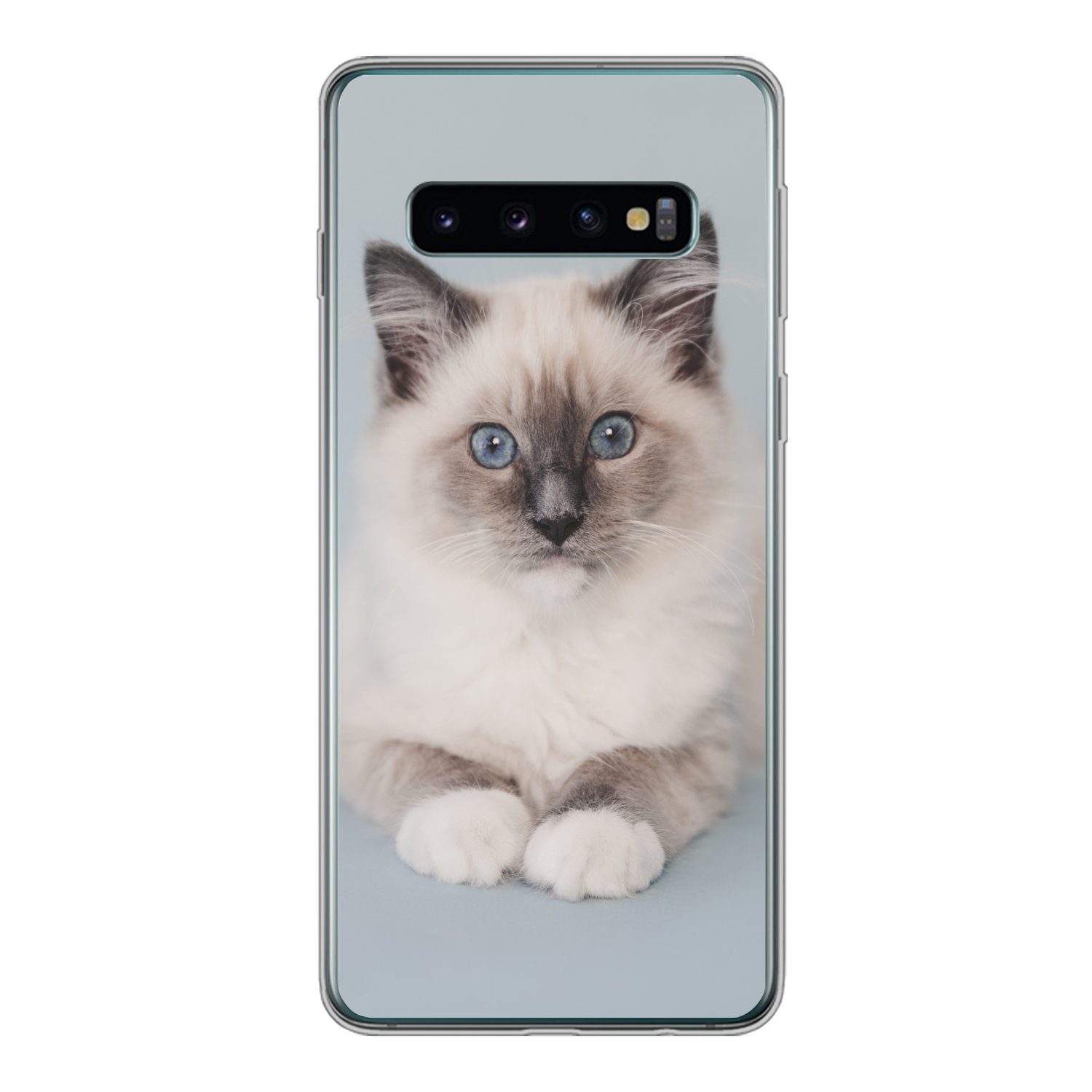 Handyhülle für Samsung Galaxy S10 Katze - Ragdoll Katze - Blau - Mädchen - Kinder