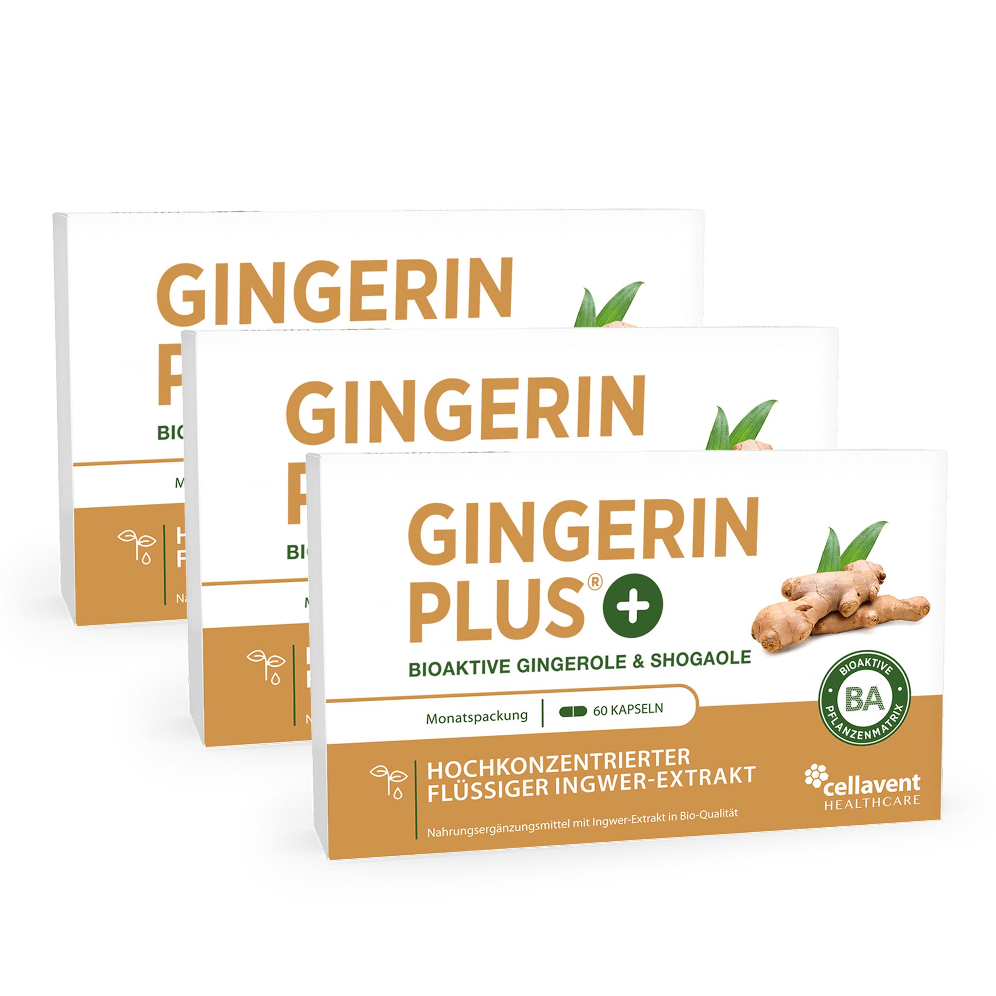 Cellavent Healthcare Bioaktiver Ingwer-Extrakt - Gingerin PLUS Kapseln